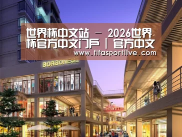 案例展示一(图1)
