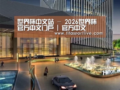 案例展示二