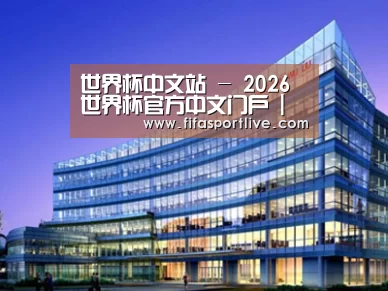 案例展示五