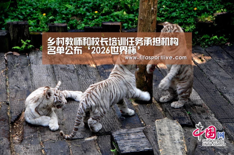 乡村教师和校长培训任务承担机构名单公布‘2026世界杯’(图1) FIFA世界杯