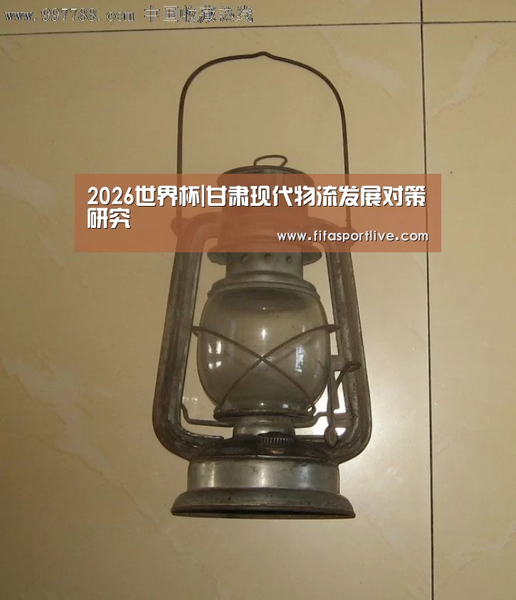 2026世界杯|甘肃现代物流发展对策研究(图1) 世界杯