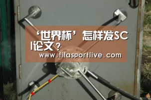 ‘世界杯’怎样发SCI论文?(图1) 世界杯
