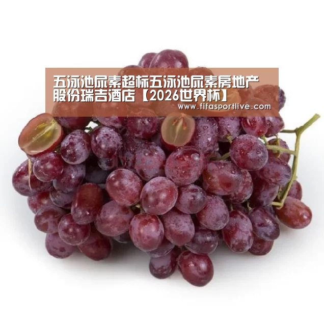 世界杯