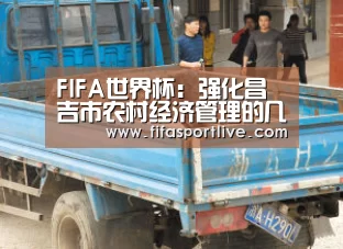 FIFA世界杯:强化昌吉市农村经济管理的几个重点(图1) 2026世界杯