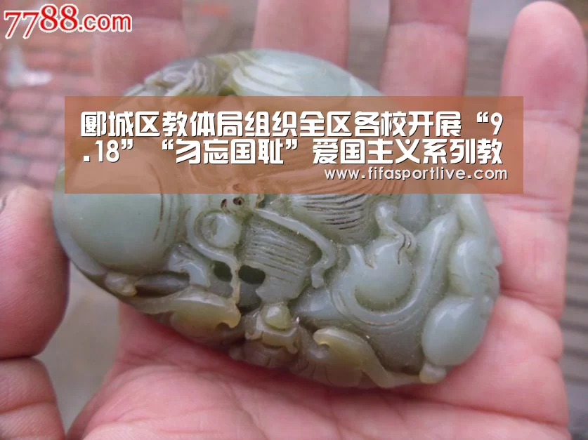郾城区教体局组织全区各校开展“9.18”“勿忘国耻”爱国主义系列教育活动【世界杯】(图3) 世界杯