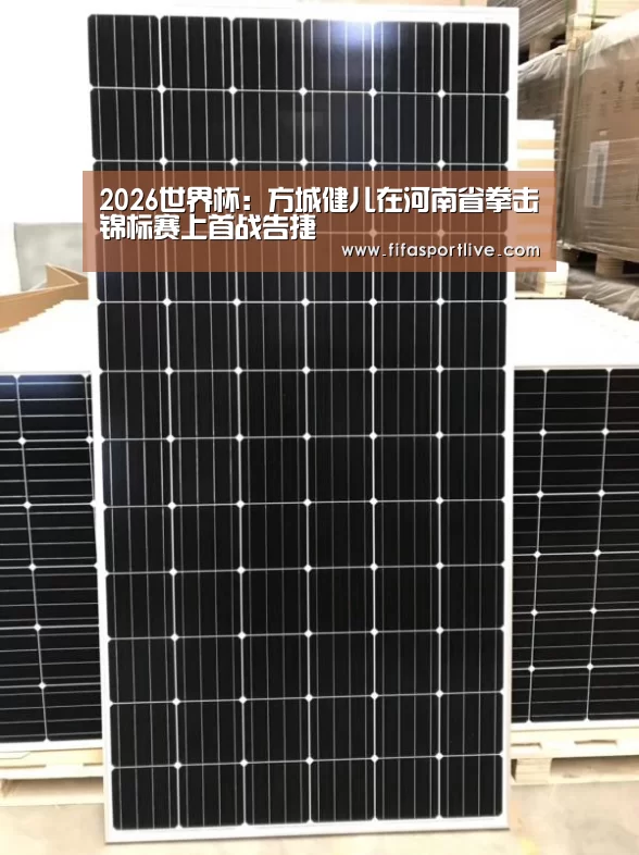 2026世界杯:方城健儿在河南省拳击锦标赛上首战告捷(图1) 世界杯
