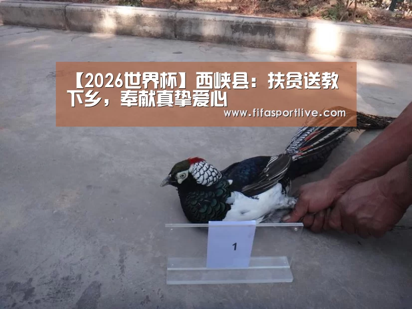 【2026世界杯】西峡县:扶贫送教下乡,奉献真挚爱心(图1) 世界杯