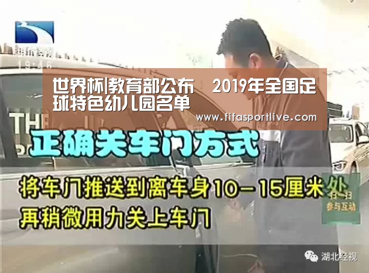 世界杯|教育部公布2019年全国足球特色幼儿园名单(图2) FIFA世界杯