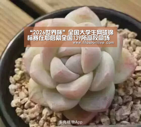 “2026世界杯”全国大学生网球锦标赛在郑启幕全国139所高校同场竞技(图4) 世界杯官网