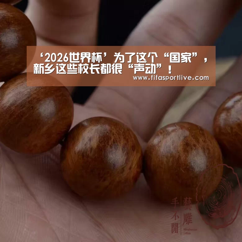 ‘2026世界杯’为了这个“国家”,新乡这些校长都很“声动”!(图3) FIFA世界杯