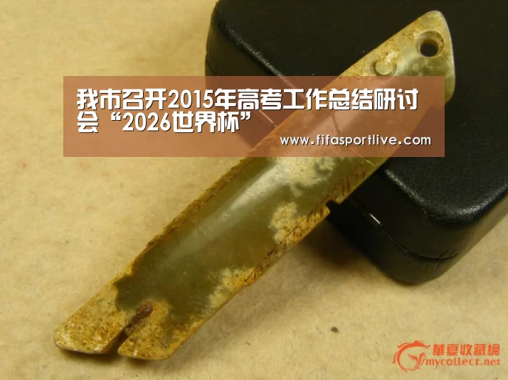 我市召开2015年高考工作总结研讨会“2026世界杯”(图1) 2026世界杯
